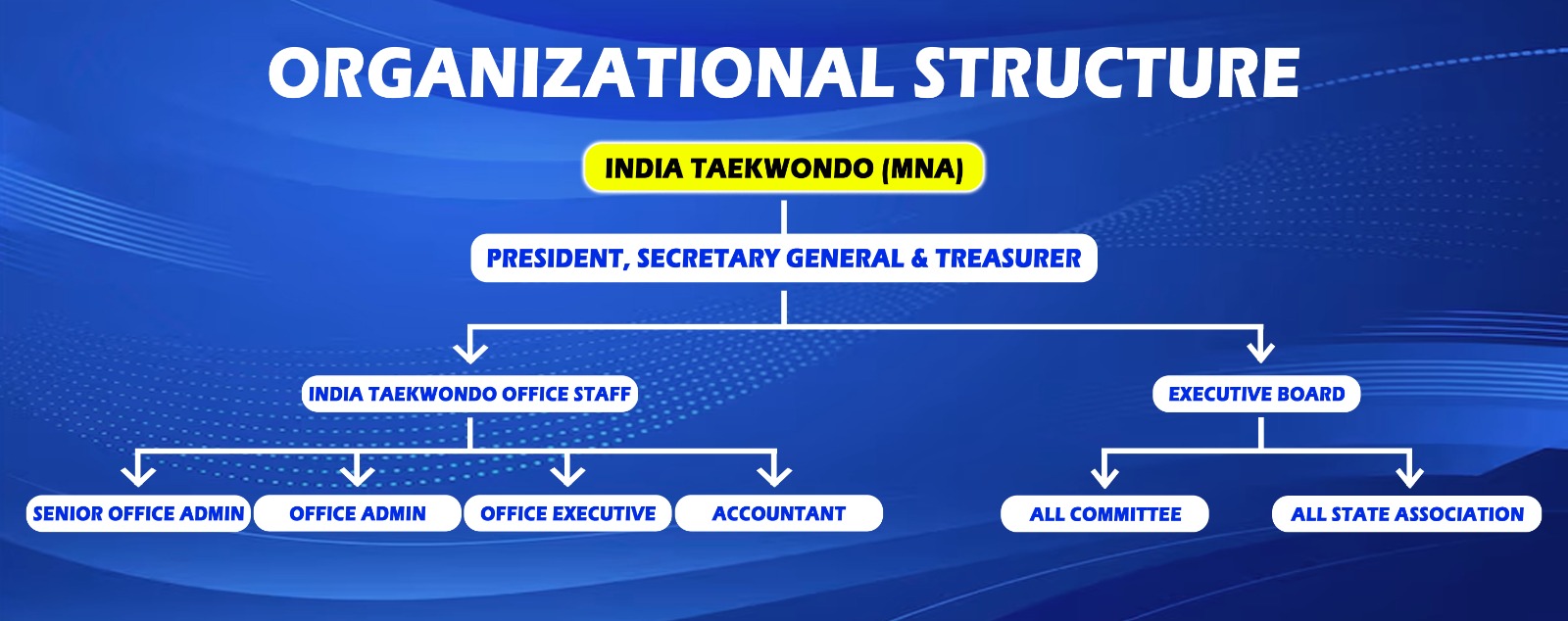 Organisation Structure